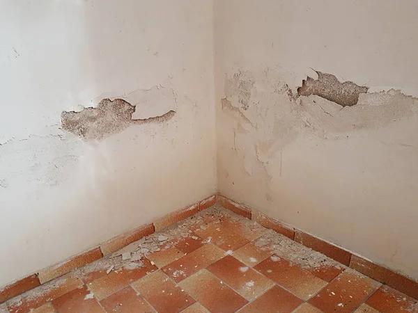 Professional Water Damage Restoration Services for Homes and Businesses