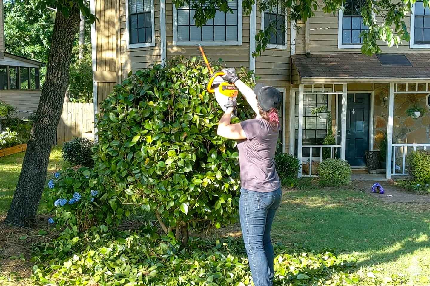 Skilled Tree Experts at tree surgeon Heald Green for Every Project