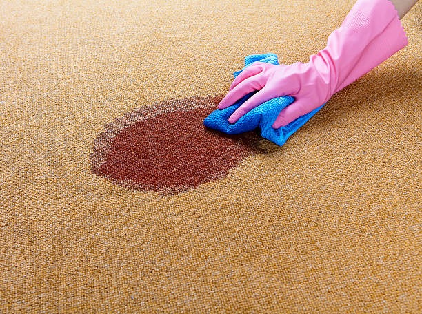 Achieve Cleaner Rugs with Rug Cleaning Phoenix