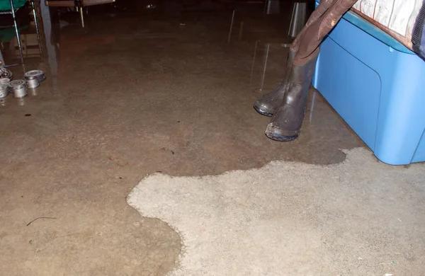 Crawl Space Repair in Prince George for Moisture and Mold Prevention